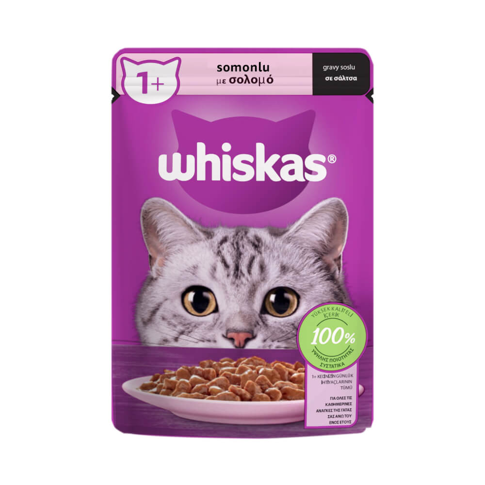 Whiskas Cat Food with Salmon 85 Gm SF Traders